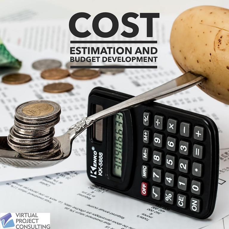 Project Basics - Cost Estimation and Budget Development | Virtual